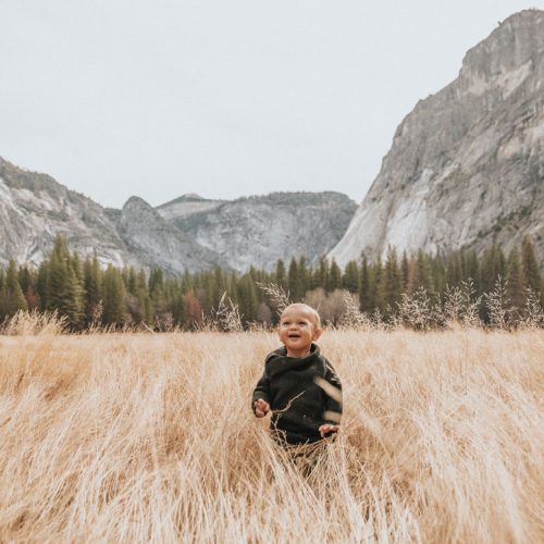 child exploring mountain meadow